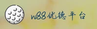 使用指南与常见问题